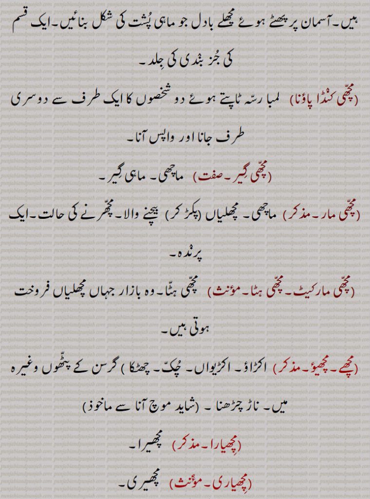 آسمان پر پھٹے ہوئے مچھلے بادل جو ماہی پشت کی شکل بنائیں۔ایک قسم کی جز بندی کی جلد,مچھی کنڈا پاؤنا,  لمبا رسہ ٹاپتے ہوئے دو شخصوں کا ایک طرف سے دوسری طرف جانا اور واپس آنا,مچھی گیر, ماچھی۔ ماہی گیر,مچھی مار,  ماچھی۔ مچھلیاں (پکڑ کر)  بیچنے والا۔مچھرنے کی حالت۔ایک پرندہ,مچھی مارکیٹ۔مچھی ہٹا,  مچھی ہٹا۔وہ بازار جہاں مچھلیاں فروخت ہوتی ہیں,مچھے۔مچھیؤ,  اکڑاؤ۔ اکڑیواں۔ چک۔ چھٹکا ) گرسن کے پٹھوں وغیرہ میں۔ ناڑ چڑھنا ۔,مچھیارا,   مچھیرا,مچھیاری,