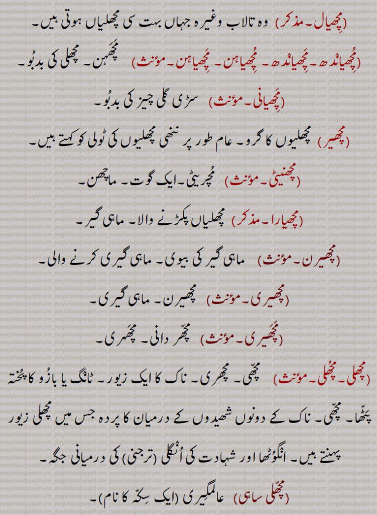  مچھیری,مچھیال,وہ تالاب وغیرہ جہاں بہت سی مچھلیاں ہوتی ہیں,مچھیاندھ۔مچھیاندھ۔ مچھیاہن۔ مچھیاہن, مچھہن۔ مچھلی کی بدبو,مچھیانی, سڑی گلی چیز کی بدبو,مچھیر,  مچھلیوں کا گرو۔ عام طور پر ننھی مچھلیوں کی ٹولی کو کہتے ہیں,مچھنیٹی, مچریٹی۔ایک گوت۔ ماچھن,مچھیارا,مچھلیاں پکڑنے والا۔ ماہی گیر,مچھیرن, ماہی گیر کی بیوی۔ ماہی گیری کرنے والی,مچھیری, مچھیرن۔ ماہی گیری,مچھیری,مچھر دانی۔ مچھہری,مچھلی,مچھی۔ مچھری۔ ناک کا ایک زیور۔ ٹانگ یا بازو کا پختہ پٹھا۔ مچھی۔ ناک کے دونوں شھیدوں کے درمیان کا پردہ جس میں مچھلی زیور پہنتے ہیں۔ انگوٹھا اور شہادت کی انگلی ,ترجنی, کی درمیانی جگہ,مچھلی ساہی,   عالمگیری  ایک سکہ کا نام,