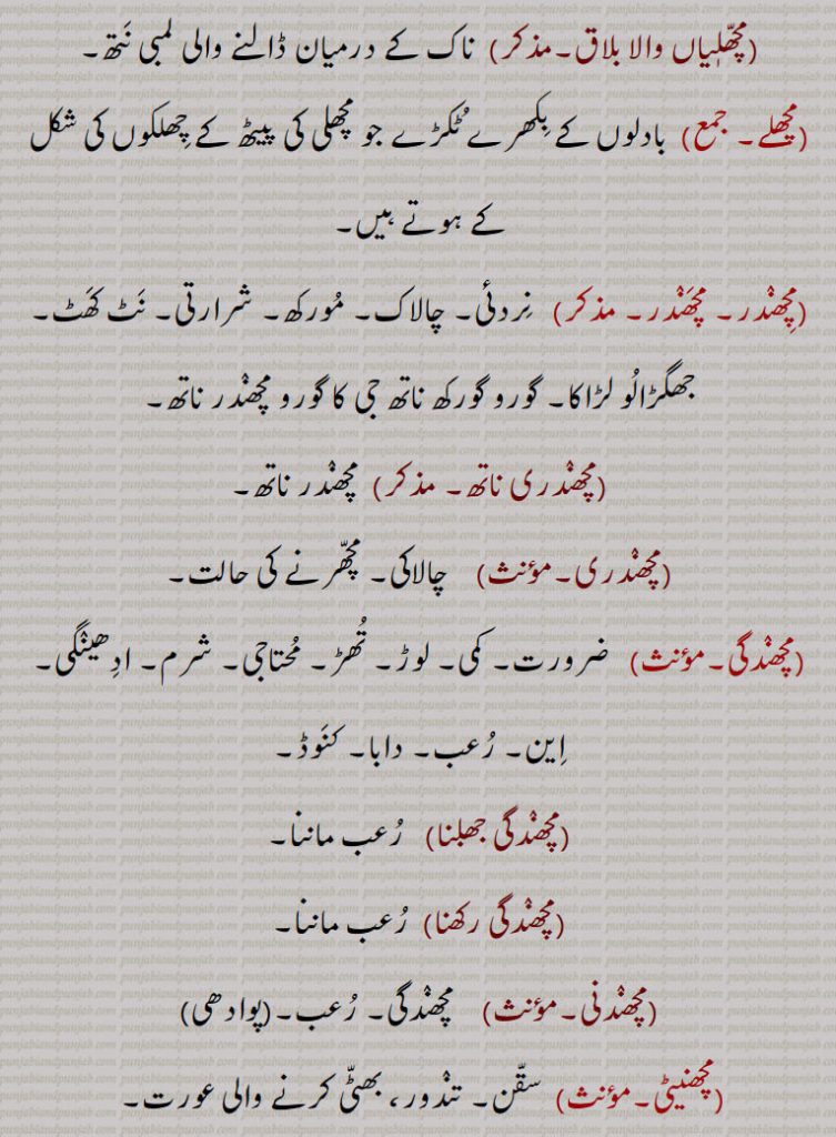 
مچھلیاں والا بلاق, ناک کے درمیان ڈالنے والی لمبی نتھ,مچھلے,  بادلوں کے بکھرے ٹکڑے جو مچھلی کی پیٹھ کے چھلکوں کی شکل کے ہوتے ہیں,مچھندر۔ مچھندر, نردئی۔ چالاک۔ مورکھ۔ شرارتی۔ نٹ کھٹ۔ جھگڑالو لڑاکا۔ گورو گورکھ ناتھ جی کا گورو مچھندر ناتھ,مچھندری ناتھ, مچھندر ناتھ,مچھندری, چالاکی۔ مچھرنے کی حالت,مچھندگی,  ضرورت۔ کمی۔ لوڑ۔ تھڑ۔ محتاجی۔ شرم۔ ادھینگی۔ این۔ رعب۔ دابا۔ کنوڈ,مچھندگی جھلنا, رعب ماننا,مچھندگی رکھنا, رعب ماننا,مچھندنی,مچھندگی۔ رعب۔,مچھنیٹی,سقن۔ تندور، بھٹی کرنے والی عورت,مچھور, مشہور,مچھوری, مشہوری,مچھور,مچھر,مچھنوں, کچھوا,مچھوآ, مچھی مار۔ ماچھی۔ مچھلیاں پکڑنے ولا۔ چھوٹی کشتی,مچھونگا, ایک پرندہ جو مچھلی پکڑتا ہے۔اس کی ایک قسم ” سفید سینہ مچھونگا, دوسری قسم ” ابلق مچھونگا“ تیسری قسم ” ولایتی یا چھوٹا مچھونگا, ہے,مچؤ, موچی کا کام یا پیشہ۔