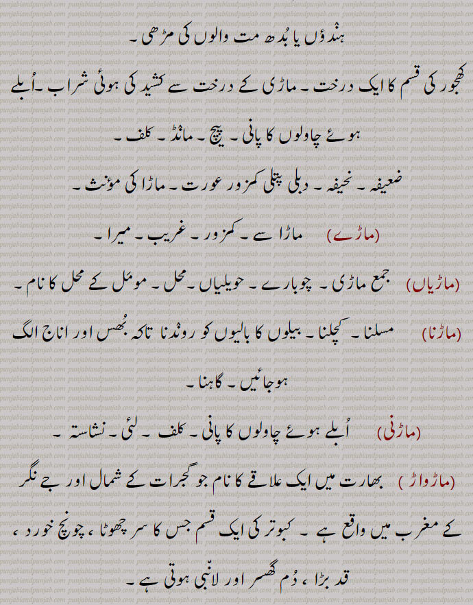  حویلی,ہندؤں یا بدھ مت والوں کی مڑھی۔
کھجور کی قسم کا ایک درخت۔ ماڑی کے درخت سے کشید کی ہوئی شراب۔ابلے ہوئے چاولوں کا پانی۔  پیچ۔ مانڈ۔ کلف, ضعیفہ۔ نحیفہ۔ دبلی پتلی کمزور عورت,ماڑے,   ماڑا سے۔ کمزور۔ غریب۔ میرا,ماڑیاں,  جمع ماڑی۔  چوبارے۔ حویلیاں۔محل۔ مومل کے محل کا نام,ماڑنا,  مسلنا۔  کچلنا۔ بیلوں کا بالیوں کو روندنا  تاکہ بھس اور اناج الگ ہوجائیں۔ گاہنا,ماڑنی, ابلے ہوئے چاولوں کا پانی۔ کلف ۔ لئی۔ نشاستہ ,ماڑواڑ , بھارت میں ایک علاقے کا نام جو گجرات کے شمال اور جے نگر کے مغرب میں واقع ہے ۔  کبوتر کی ایک قسم جس کا سر چھوٹا ، چونچ خورد ، قد بڑا ، دم گھسر اور لانبی ہوتی ہے,ماڑواڑی    مارواڑی۔ گھوڑوں کی ایک قسم۔  ماڑواڑ کی علاقائی زبان یا بولی,ماڑھی,     ماڑی۔ سواری والا اونٹ۔