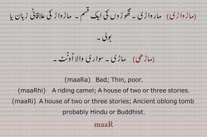 maaRa,  Bad; Thin, poor.,maaRhi,    A riding camel; A house of two or three stories., maaRi,  A house of two or three stories; Ancient oblong tomb  probably Hindu or Buddhist., maaR, mar,ਮਾੜ,maar, maara, maari, maarhi, mar, mara, mari ,marhi, , ਮਾੜ, ਮਾੜੀ, ਮਾੜੇ,