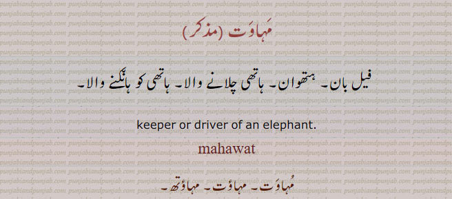 mahaawati, mahawati,ਮਹਾਵਤੀ ,mahaawat,mahawat, keeper. An elephant driver,  مہاوٹ۔ فیل بان۔ ہتھوان۔ ہاتھی چلانے والا۔ ہاتھی کو ہانکنے والا۔ مہاوتھ۔مہاوتی۔