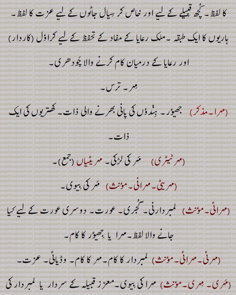  کچھ قبیلے کے لیے اور خاص کر سیال جاٹوں کے لیے عزت کا لفظ۔ ہاریوں کا ایک طبقہ ۔ملک رعایا کے مفاد کے تحفظ کے لیے کراؤل (کاردار) اور رعایا کے درمیان کام کرنے والا چودھری,مہر۔ ترس, جھیؤر۔ ہندؤں کی پانی بھرنے والی ذات۔ کھتریوں کی ایک ذات,مہرٹیٹری,   مہر کی لڑکی۔ مہریٹیاں,مہریٹی۔مہرانی,  مہر کی بیوی,مہرائی, لمبردارنی۔ گجری۔ عورت۔ دوسری عورت کے لیے کیا جانے والا لفظ۔مہرا  یا  جھیؤر کا کام,مہرئی۔مہرائی,لمبردار کا کام۔مہر کا کام۔ وڈیائی۔ عزت,مہری۔ مہری,  مہرا کی بیوی۔معزز قبیلہ کے سردار  یا  لمبردار کی بیوی یا بیٹی یا کوئی شادی کے قابل عورت۔