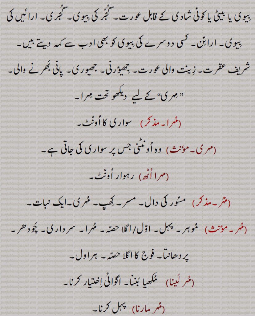  گجر کی بیوی۔ گجری۔ ارائیں کی بیوی۔ ارائن۔ کسی دوسرے کی بیوی کو بھی ادب سے کہہ دیتے ہیں۔ شریف عقرت۔زینت والی عورت۔ جھیؤرنی,جھیوری۔ پانی بھرنے والی,مہری“ کے لیے,مہرا, سواری کا اونٹ,مہری,وہ اونٹنی جس پر سواری کی جاتی ہے,مہرا اٹھ, رہوار اونٹ,مہر,  مسور کی دال۔ مسر,کھپ۔ مہری۔ایک نبات,مہر,  موہر۔ پہل۔ اول/ اگلا حصہ۔ مہرا,سرداری۔ چودھر۔ پردھانتا۔ فوج کا اگلا حصہ۔ ہراول,مہر لینا,   مکھیا بننا۔ اگوائی اختیار کرنا,مہر مارنا,  پہل کرنا,موہری۔آگے چلنے والا۔ آگو۔ مکھیا۔