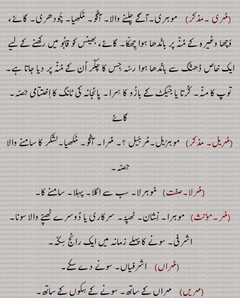  چودھری۔ گائے، وچھا وغیرہ کے منہ پر باندھا ہوا چھکا۔ گائے، بھینس کو قابو میں رکھنے کے لیے ایک خاص ڈھنگ سے باندھا ہوا رسہ جس کا چکر ان کے منہ پر دیا جاتا ہے۔ توپ کا منہ۔ کرتا یا جیکٹ کے بازو کا سرا۔ پائجانہ کی ٹانگ کا اختتامی حصہ۔ گائے, مہریل۔ مذکر)   موہریل۔مرہیل ؟۔ مہرا۔ آگو,مکھیا۔لشکر کا سامنے والا حصہ,مہرلا, موہرلا۔ سب سے اگلا۔ پہلا۔ سامنے کا,مہر, موہرا۔ نشان۔ ٹھپہ۔ سرکاری یا دوسرے ٹھپے والا سونا۔ اشرفی۔ سونے کا پہلے زمانہ میں ایک رائج سکہ,مہراں,   اشرفیاں۔ سونے دے سکے۔