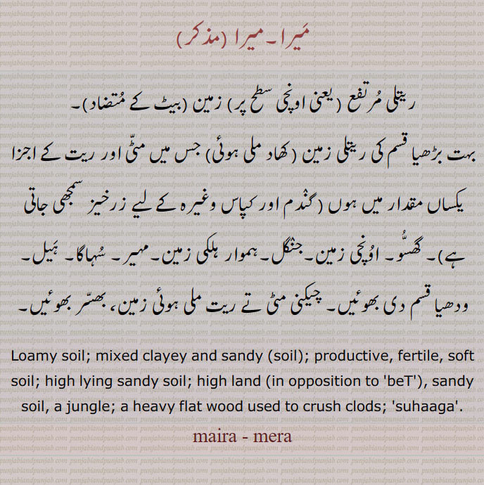 میرا۔میرا ,ریتلی مرتفع ( یعنی اونچی سطح پر) زمین,بہت بڑھیا قسم کی ریتلی زمین ( کھاد ملی ہوئی) جس میں مٹی اور ریت کے اجزا یکساں مقدار میں ہوں ( گندم اور کپاس وغیرہ کے لیے زرخیز سمجھی جاتی ہے)۔ گھسو۔ اونچی زمین۔جنگل۔ہموار ہلکی زمین۔مہیر۔ سہاگا۔ ہیل۔
ودھیا قسم دی بھوئیں۔ چیکنی مٹی تے ریت ملی ہوئی زمین، بھسر بھوئیں۔
Loamy soil; mixed clayey and sandy (soil); productive, fertile, soft soil; high lying sandy soil; high land (in opposition to 'beT'), sandy soil, a jungle; a heavy flat wood used to crush clods; 'suhaaga', maira, mera, ਮੇਰਾ, ਮੈਰਾ,