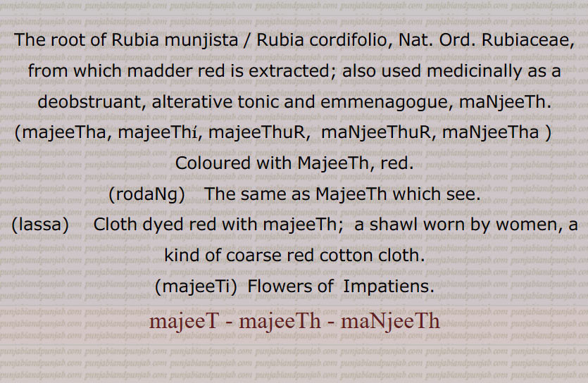 The root of Rubia munjista / Rubia cordifolio, Nat. Ord. Rubiaceae, from which madder red is extracted; also used medicinally as a deobstruant, alterative tonic and emmenagogue, maNjeeTh.,majeeTha, majeeThi, majeeThuR,  maNjeeThuR, maNjeeTha,  Coloured with MajeeTh, red.,rodaNg,    The same as MajeeTh which see.,lassa, Cloth dyed red with majeeTh;  a shawl worn by women, a kind of coarse red cotton cloth.,majeeTi,  Flowers of  Impatiens., majeeT, majeeTh, maNjeeTh, majeeT, ਮਜੀਟ, majeeTh, maNjeeTh, ਮਜੀਠ, ਮੰਜੀਠ, majeeTha, majeeThi, majeeThuR, maNjeeThuR, maNjeeTha , ਮਜੀਠਾ, ਮਜੀਠੀ, ਮਜੀਠੁਡ਼, ਮੰਜੀਠਾ, ਮੰਜੀਠੁਡ਼, rodaNg , ਰੋਦੰਗ, lassa, ਲੱਸਾ, majiT, majiTh, maNjiTh, majiT,  majiTh, maNjiTh,  majiTha, majiThi, majiThuR, maNjiThuR, maNjiTha ,   rodaNg , 


