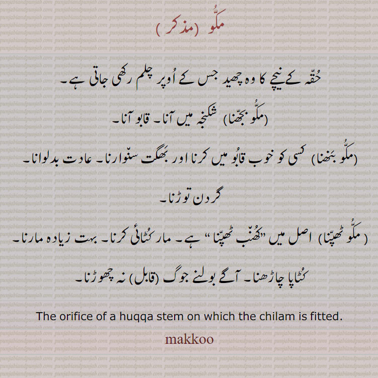 حقہ کے  چلم کے نیچے والا سوراخ۔ مکو بجھنا۔ قابو کرنا۔ گردن توڑنا۔ مکو ٹھپنا۔ کھنب ٹھپنا۔ مار کٹائی کرنا۔ بہت مارنا۔ , makkoo, makku,ਮੱਕੂ ,The orifice of a huqqu stem on which the chilam is fitted. مکو۔ مکُو