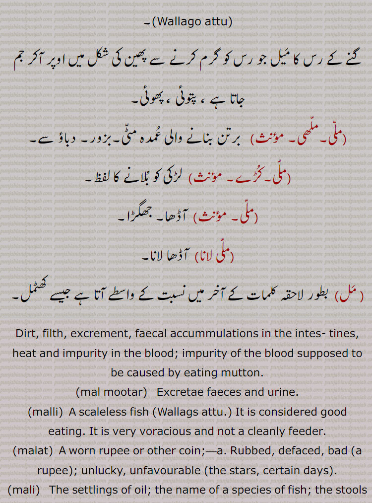 
گنے کے رس کا میل جو رس کو گرم کرنے سے پھین کی شکل میں اوپر آکر جم جاتا ہے ، پتوئی ، پھوئی,ملی۔ملھی, برتن بنانے والی عمدہ مٹی۔بزور۔ دباؤ سے,ملی۔کڑے, لڑکی کو بلانے کا لفظ,ملی, آڈھا۔ جھگڑا,ملی لانا, آڈھا لانا,