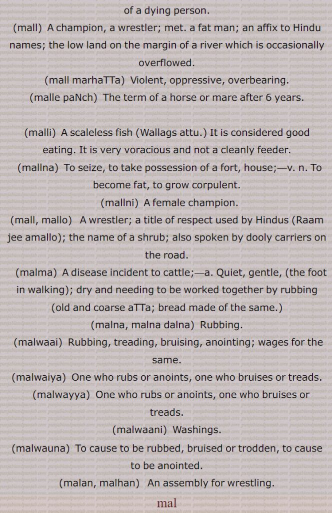 Dirt, filth, excrement, faecal accummulations in the intes- tines, heat and impurity in the blood; impurity of the blood supposed to be caused by eating mutton. ,mal mootar,   Excretae faeces and urine. ,malli, A scaleless fish (Wallags attu.) It is considered good eating. It is very voracious and not a cleanly feeder., malat,  A worn rupee or other coin; Rubbed, defaced, bad (a rupee); unlucky, unfavourable (the stars, certain days)., mali,   The settlings of oil; the name of a species of fish; the stools of a dying person., mall,  A champion, a wrestler; met. a fat man; an affix to Hindu names; the low land on the margin of a river which is occasionally overflowed., mall marhaTTa,  Violent, oppressive, overbearing., malle paNch,  The term of a horse or mare after 6 years., malli,  A scaleless fish (Wallags attu.) It is considered good eating. It is very voracious and not a cleanly feeder., mallna,  To seize, to take possession of a fort, house;  To become fat, to grow corpulent., mallni,  A female champion., mall, mallo,   A wrestler; a title of respect used by Hindus (Raam jee amallo); the name of a shrub; also spoken by dooly carriers on the road., malma,  A disease incident to cattle; Quiet, gentle, (the foot in walking); dry and needing to be worked together by rubbing (old and coarse aTTa; bread made of the same.), malna, malna dalna,  Rubbing., malwaai,  Rubbing, treading, bruising, anointing; wages for the same., malwaiya,  One who rubs or anoints, one who bruises or treads., malwayya,  One who rubs or anoints, one who bruises or treads., malwaani,  Washings., malwauna,  To cause to be rubbed, bruised or trodden, to cause to be anointed., malan, malhan,   An assembly for wrestling.
mal, مل,mal ,ਮਲ,  malli  , ਮੱਲੀ, malat  , ਮਲਤ ,mali  , ਮਲੀ,  mall  , ਮੱਲ,  malle paNch  , ਮੱਲੇ ਪੰਚ,  malli  , ਮੱਲੀ,  mallna  , ਮੱਲਣਾ,   mallni  , ਮਲੱਣੀ,  mall, mallo  , ਮਲੁ, malmam  ,ਮਲਮਾ,ਮਲਨਾ, malna, malna dalna ,  malwaai  , ਮਲਵਾਈ,  malwaiya  , ਮਲਵੈਈਯਾ, malwayya)  , ਮਲਵੱਯਾ,  malwaani   ,ਮਲਵਾਣੀ, malwauna  , ਮਲਵਾਉਣਾ, malan, malhan  , ਮਲ੍ਹਣ  