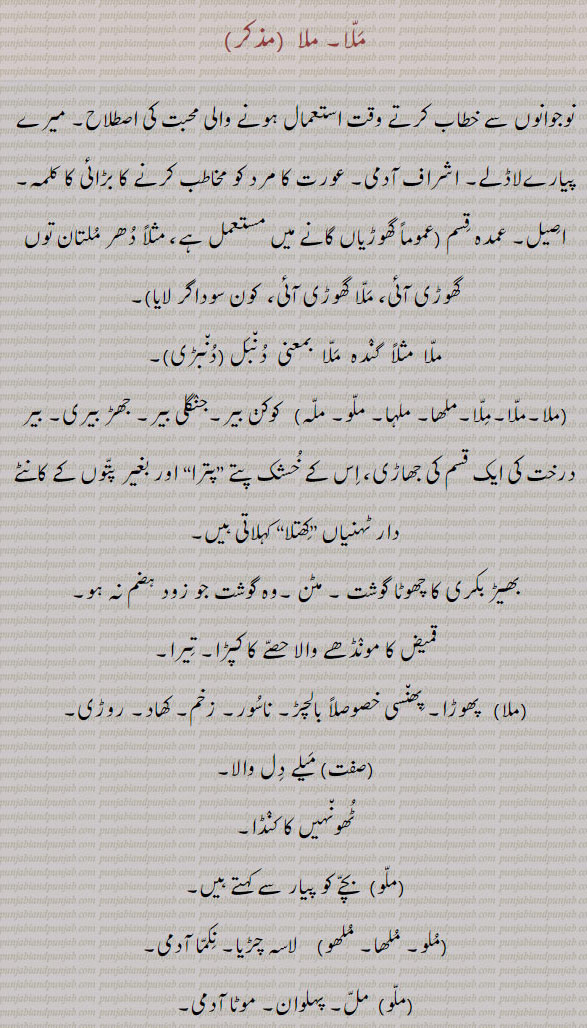 ملّا، ملا۔ نوجوانوں سے خطاب کرتے ان کے لیے محبت کا لفظ۔ پیارے لاڈلے۔ عمدہ قسم کی گھوڑی۔ گندہ ملا۔ ،لھا۔ ملہا۔ ملو۔ ملہ۔ کوکن بیر۔ جنگلی بیر۔ جھڑ بیری۔ ، چھوٹا گوشت۔ مٹن۔ قمیض کا مونڈھا۔ تیرا۔ پھوڑا۔ بالچڑ۔ ناسور۔ زخم۔ کھاد۔ میلے دل والا۔ ٹھونہیں کا کنڈا۔ ٹھونہیں کا کنڈا۔ ملو ، ملھا۔ ملھو۔ لاسہ چڑیا۔ نکما آدمی۔ موٹا آدمی۔ پہلوان۔ملا۔ پہلوان عورت۔ مل قوم کی ۔ عربی چنبیلی موگرا۔ ملا۔ گنے ۔ پان کا کھیت۔ بھری جگہ۔ خلق۔ 
بھرا ہوا۔ لبریز۔ آشکارا۔ ظاہر۔عادت۔ انجمن۔ محفل۔ عالم تشبیہ۔  