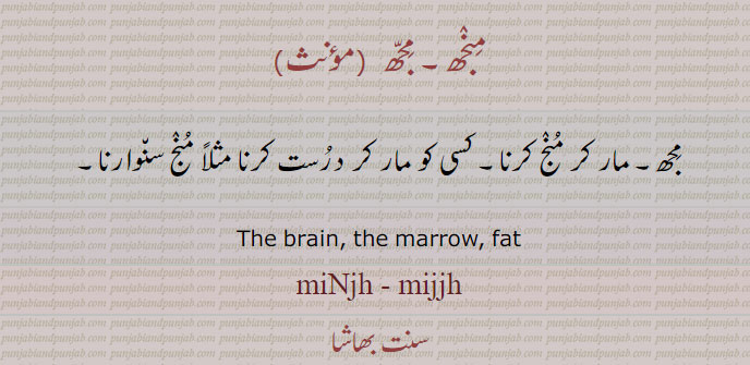 منجھ۔ مجھ, مار کر منج کرنا۔ کسی کو مار کر درست کرنا مثلاً منج سنوارنا۔
The brain, the marrow, fat, miNjh - mijjh ,ਮਿੰਝ  , ਮਿੱਝ