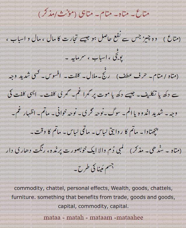 matah,ਮਤਾਹ,mataa, mataam, mataahee, mata, matam, matahi,Wealth, goods, chattels, furniture.commodity, capital, متاع۔ متاہ۔ متام۔ متاہی۔ جس سے نفع ملے۔ مال و اسباب۔ پونجی۔ سرمایہ۔ رنج۔ ملال۔ کلفت۔ افسوس۔ دکھ۔ گہری کلفت۔ سوگ۔ نوحہ۔ ماتم۔ پچھتاوا۔ ماتمی لباس۔ لمبی دم والا پرندہ۔  مینا جیسا پرندہ۔ 
