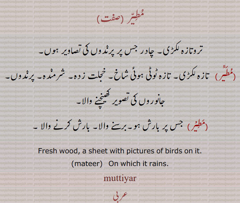 مطیر,
تروتازہ لکڑی۔ چادر جس پر پرندوں کی تصاویر ہوں,مطیر,  تازہ لکڑی۔ تازہ ٹوٹی ہوئی شاخ۔ حجلت ادہ۔ شرمنٛدہ۔ جانوروں کی تصویر کھینچنے والا,مطیر,   جس پر بارش ہو۔ برسنے والا۔ بارش کرنے  والا۔ 
Fresh wood. a sheet with pictures of birds on it., mateer,  On which it rain.  ,muttiyar, mutiaar, ਮੁਤਹਰ، ਮੁਤਿੀਯਰ