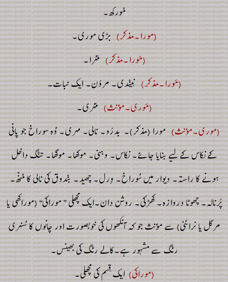  مورکھ,مورا,   بڑی موری,مورا,  مہرا,مورا, نیندی۔ مرون۔ ایک نبات,موری,  مہری,موری, مورا ,بدرو۔ نالی۔ مہری۔ وہ سوراخ جو پانی کے نکاس کے لیے بنایا جائے۔ نکاس۔ وہنی۔ موکھا۔ موگھا۔ تنگ داخل ہونے کا راستہ۔ دیوار میں سوراخ۔ ورل۔ چھید۔ بندوق کی نالی کا منھ۔ پرنالہ۔ چھوٹا دروازہ۔ کھڑکی۔ روشن دان۔ایک مچھلی ” موراکی“ (موراکھی یا مرگل یا نرائنی) سے مؤنث جو کہ آنکھوں کی خوبصورت اور چانوں کا سنہری رنگ سے مشہور ہے۔کالے رنگ کی بھینس,موراکی,  ایک قسم کی مچھلی۔