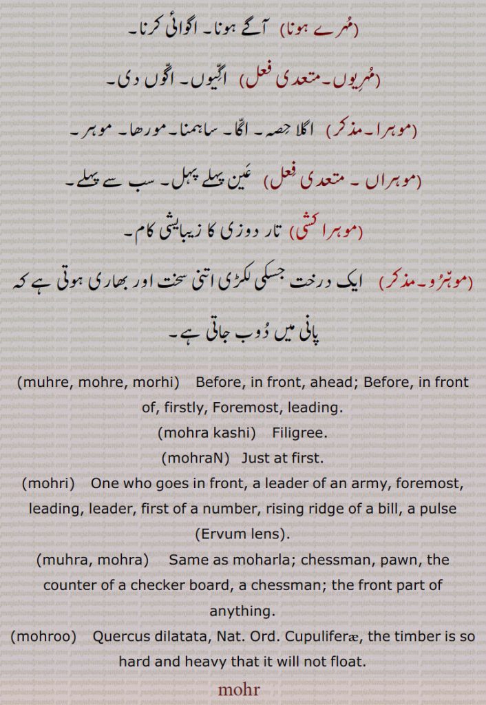 ,muhre, mohre, morhi,    Before, in front, ahead; Before, in front of, firstly, Foremost, leading.,mohra kashi,    Filigree.,mohraN,   Just at first.,mohri,   One who goes in front, a leader of an army, foremost, leading, leader, first of a number, rising ridge of a bill, a pulse ,Ervum lens,.,muhra, mohra,    Same as moharla; chessman, pawn, the counter of a checker board, a chessman; the front part of anything.,mohroo,    Quercus dilatata, Nat. Ord. Cupuliferae, the timber is so hard and heavy that it will not float.,mohar,mohr,
muhre, mohre, morhi, ਮੋਹਰੇ, ਮੁਹਰੇ , mohra kashi ,ਮੋਹਰਾ ਕਸ਼ੀ , ,mohraN, mohri, ਮੋਹਰੀ ,Ervum lens, muhra, mohra, ਮੋਹਰਾ, ਮੁਹਰਾ ,mohroo, ਮੋਹਰੂ, Quercus dilatata, mohar,mohr,,mohru,