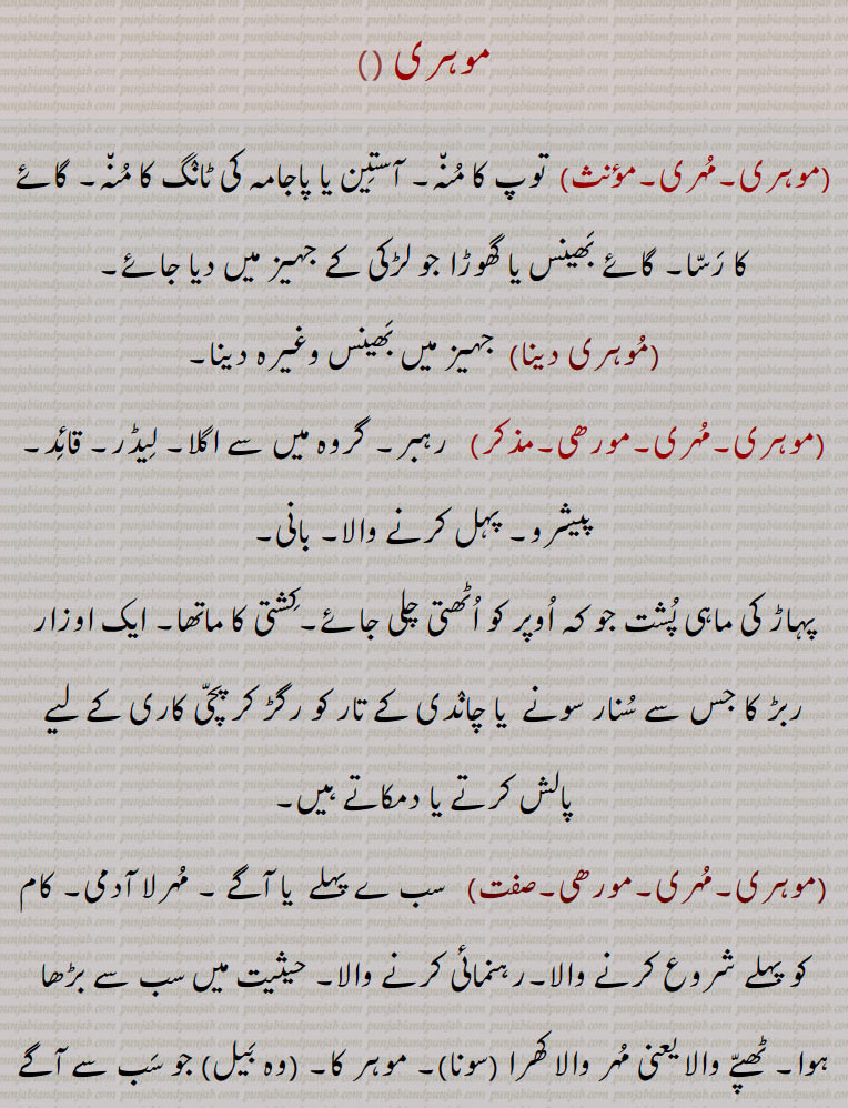 

موہری,مہری, توپ کا منہ۔ آستین یا پاجامہ کی ٹانگ کا منہ۔ گائے کا رسا۔ گائے بھینس یا گھوڑا جو لڑکی کے جہیز میں دیا جائے,موہری دینا, جہیز میں بھینس وغیرہ دینا,موہری۔مہری۔مورھی, رہبر۔ گروہ میں سے اگلا۔ لیڈر۔ قائد۔ پیشرو۔ پہل کرنے والا۔ بانی,پہاڑ کی ماہی پشت جو کہ اوپر کو اٹھتی چلی جائے۔کشتی کا ماتھا۔ ایک اوزار ربڑ کا جس سے سنار سونے  یا چاندی کے تار کو رگڑ کر پچی کاری کے لیے پالش کرتے یا دمکاتے ہیں,موہری۔مہری۔مورھی,  سب ے پہلے  یا آگے ۔ مہرلا آدمی۔ کام کو پہلے شروع کرنے والا۔رہنمائی کرنے والا۔ حیثیت میں سب سے بڑھا ہوا۔ ٹھپے والا یعنی مہر والا کھرا (سونا)۔ موہر کا۔ (وہ بیل) جو سب سے آگے ہو۔ سب سے آگے چلنے والا اونٹ۔
(موہری۔مذکر)   وہ جگہ جہاں پہاڑ کی چڑھائی شروع ہوتی ہے۔ جہاز کا ماتھا,موہری,  جہاز یا کشتی  کی  اگواڑ، ماتھا۔ پیش۔ آگا۔ موہری,موہری,  مہری۔ سونا (مہر یا پاسا کا),موہرا۔مورھا,   اگلا حصہ۔ اگا۔ ساہمنا۔کاغذ کو رگڑنے کے لئے استعمال ہونے والا پتھر۔
 One who goes in front, a leader of an army; of or belonging to gold muhar, pure (gold); a leader, a headman, the muzzle of a gun; the cuff of a jacket; the extremity of the leg of a pair of trousers, a halter for a cow; a horse, cow, buffalo or camel, given in dowry by a bride's father.
mohri,  ਮੁਹਰੀ, muhra, ਮੁਹਰਾ, muhri, 