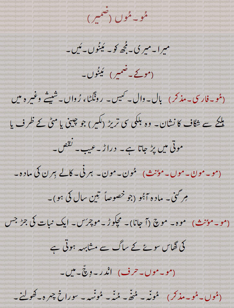 مو۔موں ,میرا۔میری۔مجھ کو۔ مینوں۔میں,موکے,  مینوں, بال۔وال۔ کیس۔ رونگٹا، رواں۔شیشے وغیرہ میں  ہلکے سے شگاف کا نشان۔ وہ ہلکی سی تریڑ (لکیر) جو چینی یا مٹی کے ظرف یا موتی میں پڑ جاتا ہے۔ دراڑ۔عیب۔ نقص,مو۔مون۔موں, مون۔مون۔ ہرنی۔کالے ہرن کی مادہ۔ مرگنی۔ مادہ آہو, موہ۔ موچ  آ جانا ۔ مچکوڑ۔موچرس۔ ایک نبات کی جڑ جس کی گھاس سوئے کے ساگ سے مشابہہ ہوتی ہے, اندر۔وچ۔میں, مونہ۔ منھ۔ منہ۔ مونہہ۔ سوراخ چہرہ۔کھولنے۔ چھید۔, سر کے مونڈے جانے کی حالت۔تھا۔ سی,مون منی,جس کا سر مونڈا گیا ہو,  گرمی۔ چوپاؤں میں بھوگ کی خواہش۔ خواہش نفسانی۔ شہوت  چھوٹے جانوروں کی ۔شہد ؛ جوانی ، شباب ، جوبن ؛ مرضی ، رضامندی ؛ خواہش ، اچھا ؛ بلی کی میاؤں