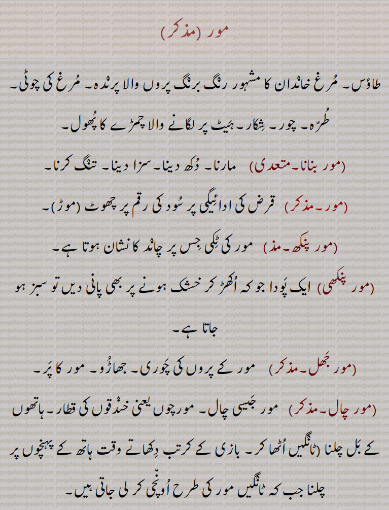 
مور ,طاؤس۔ مرغ خاندان کا مشہور رنگ برنگ پروں والا پرندہ۔ مرغ کی چوٹی۔ طرہ۔ چور۔ شکار۔ہیٹ پر لگانے والا چمڑے کا پھول,مور بنانا,مارنا۔ دکھ دینا۔سزا دینا۔ تنگ کرنا,  قرض کی ادائیگی پر سود کی رقم پر چھوٹ,موڑ,مور پنکھ, مور کی ٹکی جس پر چاند کا نشان ہوتا ہے,مور پنکھی,  ایک پودا جو کہ اکھڑ کر خشک ہونے پر بھی پانی دیں تو سبز ہو جاتا ہے,مور جھل, مور کے پروں کی چوری۔ جھاڑو۔ مور کا پر,مور چال, مور جیسی چال۔ مورچوں یعنی خندقوں کی قطار۔ہاتھوں کے بل چلنا ,ٹانگیں اٹھا کر۔