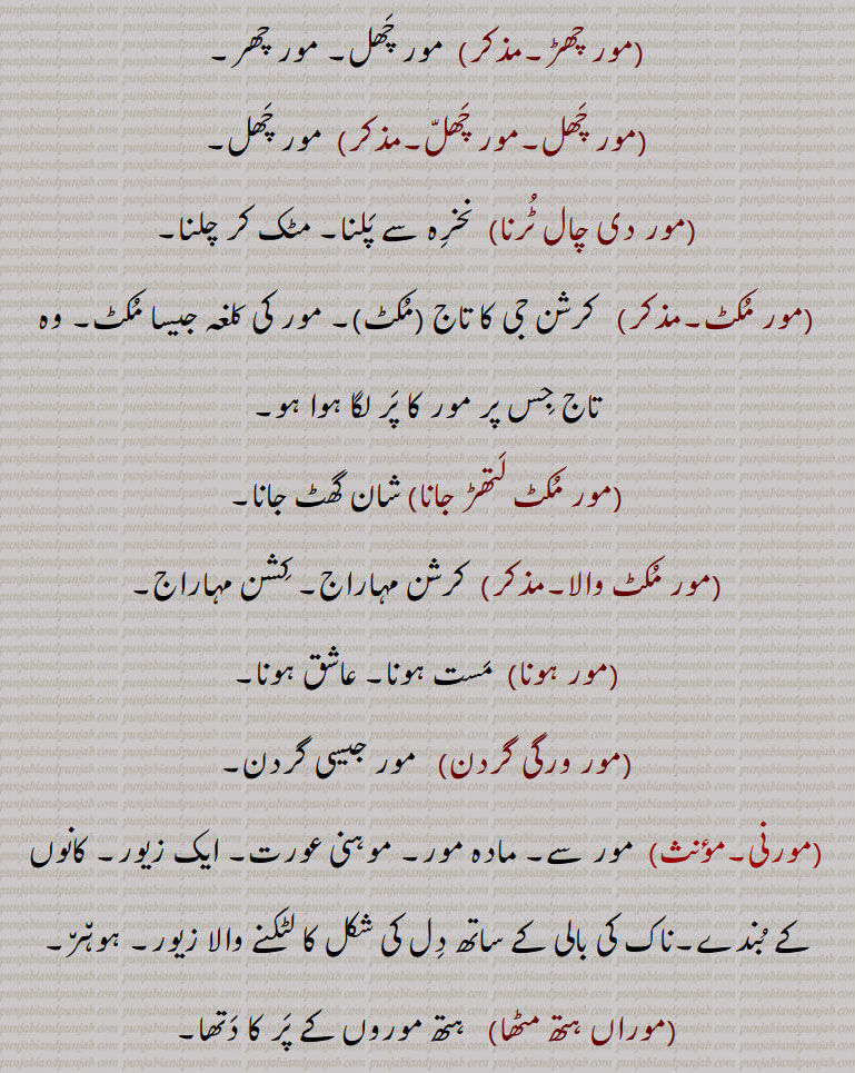  بازی کے کرتب دکھاتے وقت ہاتھ کے پہنچوں پر چلنا جب کہ ٹانگیں مور کی طرح اونچی کر لی جاتی ہیں,مور چھڑ, مور چھل۔ مور چھر,مور چھل۔مور چھل,مور دی چال ٹرنا, نخرہ سے پلنا۔ مٹک کر چلنا,مور مکٹ,   کرشن جی کا تاج  مکٹ,۔ مور کی کلغہ جیسا مکٹ۔ وہ تاج جس پر مور کا پر لگا ہوا ہو,مور مکٹ لتھڑ جانا) شان گھٹ جانا,مور مکٹ والا,کرشن مہاراج۔ کشن مہاراج,مور ہونا, مست ہونا۔ عاشق ہونا,مور ورگی گردن,   مور جیسی گردن,مورنی, مور سے۔ مادہ مور۔ موہنی عورت۔ ایک زیور۔ کانوں کے بندے۔ناک کی بالی کے ساتھ دل کی شکل کا لٹکنے والا زیور۔ ہوہر,موراں ہتھ مٹھا, ہتھ موروں کے پر کا دتھا,مور ون,  مرون۔ ایک نبات۔