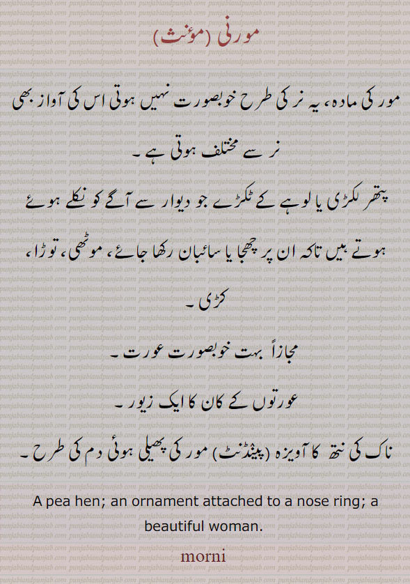 مورنی ,مور کی مادہ، یہ نر کی طرح خوبصورت نہیں ہوتی اس کی آواز بھی نر سے مختلف ہوتی ہے, پتھر لکڑی یا لوہے کے ٹکڑے جو دیوار سے آگے کو نکلے ہوئے ہوتے ہیں تاکہ ان پر چھجا یا سائبان رکھا جائے، موٹھی، توڑا، کڑی۔
 مجازاً  بہت خوبصورت عورت, عورتوں کے کان کا ایک زیور۔
ناک کی نتھ  کا آویزہ (پینٛڈنٹ) مور کی پھیلی ہوئی دم کی طرح۔
A pea hen; an ornament attached to a nose ring; a beautiful woman. , morni  ,ਮੋਰਨੀ ,Traditional Ornaments of Punjab,Jewellery,jewelry,zaiwar,زیور, ,گہنا,بُھوکھن,النکار,ٹُوم,ٹومب,ٹونب چھلا 