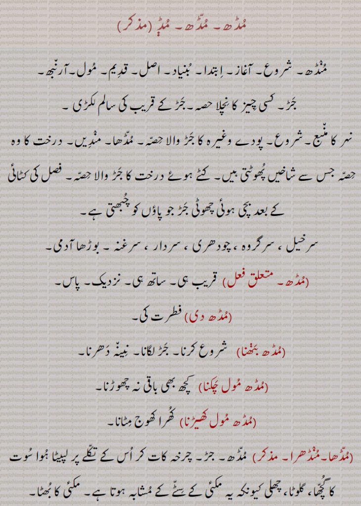 
مڈھ, مڈ,منڈھ۔ شروع۔ آغاز۔ ابتدا۔ بنیاد۔ اصل۔ قدیم۔ مول۔آرنبھ,جڑ۔ کسی چیز کا نچلا حصہ۔جڑ کے قریب کی سالم لکڑی ۔
نہر کا منبع۔شروع۔ پودے وغیرہ کا جڑ والا حصہ۔ مڈھا۔ مندیں۔ درخت کا وہ حصہ جس سے شاخیں پھوٹتی ہیں۔ کٹے ہوئے درخت کا جڑ والا حصہ۔ فصل کی کٹائی کے بعد بچی ہوئی چھوٹی جڑ جو پاؤں کو چبھتی ہے,سرخیل ، سرگروہ ، چودھری ، سردار ، سرغنہ ۔ بوڑھا آدمی,قریب ہی۔ ساتھ ہی۔ نزدیک۔ پاس,مڈھ دی, فطرت کی,مڈھ بڽھنا, شروع کرنا۔ جڑ لگانا۔ نینہ دھرنا,مڈھ مول چکنا, کچھ بھی باقی نہ چھوڑنا,مڈھ مول کھیڑنا,  کھرا کھوج مٹانا,مڈھا۔منڈھرا,  مڈھ۔ جڑ۔ چرخہ کات کر اس کے تکلے پر لپیٹا ہوا سوت کا گچھا، گلوٹا، چھلی کیونکہ یہ مکئی کے سٹے کے مشابہ ہوتا ہے۔ مکئی کا بھٹا۔
(مڈھلا۔ صفت)  مڈھوں۔ منڈھلا۔ شروع کا۔ پہلا۔ بنیادی۔ قدیمی۔ازل سے,مڈھلی,مونڈھکی۔ خالص۔ اصلی۔ بامحاورہ زبان,مڈھلی ودیا,  پہلی یا شروع کی پڑھائی۔ پرائمری سکول تک کی تعلیم,مڈھوں, شروع سے پہلے سے۔ جڑ سے,مڈھوں سڈھوں,  پھر نئے سرے سے,مڈھوں سری, مڑ کے۔ پھر۔ نئے سرے سے۔
,اردو میں مڈھ یا منڈ یا منڈھا (منڈ بمعنی مونڈنا) کے معنی سردار اور سرغنہ کے ہیں,