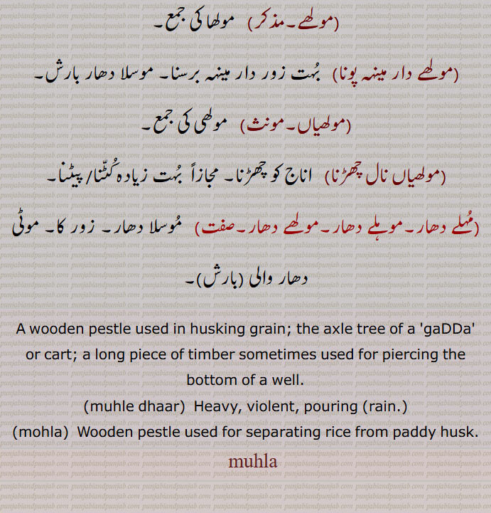 A wooden pestle used in husking grain; the axle tree of a 'gaDDa' or cart; a long piece of timber sometimes used for piercing the bottom of a well.,muhle dhaar,  Heavy, violent, pouring (rain.)
,mohla,  Wooden pestle used for separating rice from paddy husk.
   muhla, muhle dhaar,mohla, ਮੋਹਲ਼ਾ , Wooden pestle used for separating rice from paddy husk,   muhla, ਮੁਹਲਾ,mohla، ਮੋਹਲ਼ਾ,muhle dhaar, ਮੋਹਲਾ, ਮੋਹਲੀ, ਮੋਹਲੇ