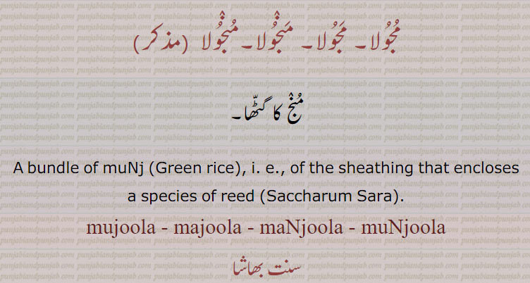 مجولا۔ مجولا۔ منجولا۔منجولا,منج کا گٹھا۔
A bundle of muNj  of the sheathing that encloses a species of reed ,,Green rice,,Saccharum Sara, mujoola, majoola, maNjoola, muNjoola, mujula, majula, maNjula,muNjula, ਮਜੂਲਾ, ਮੁਜੂਲਾ,maNjoo, maNja  ਮੰਜਾ,