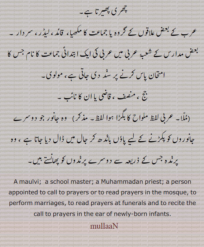 A maulvi;  a school master; a Muhammadan priest; a person appointed to call to prayers or to read prayers in the mosque, to perform marriages, to read prayers at funerals and to recite the call to prayers in the ear of newly-born infants., mullaN,  ਮੁੱਲਾਂ, mullaan