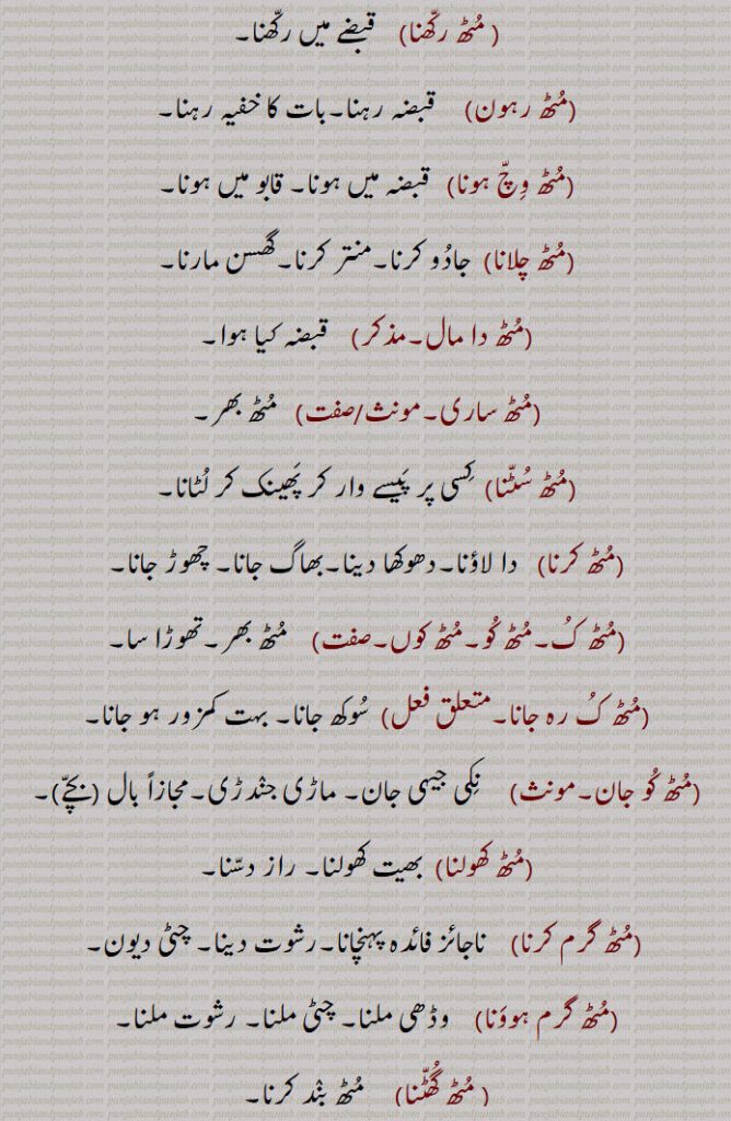 , مٹھ رکھنا,    قبضے میں رکھنا,مٹھ رہون,     قبضہ رہنا۔بات کا خفیہ رہنا,مٹھ وچ ہونا,   قبضہ میں ہونا۔ قابو میں ہونا,مٹھ چلانا,  جادو کرنا۔منتر کرنا۔گھسن مارنا۔
,مٹھ دا مال۔,    قبضہ کیا ہوا,مٹھ ساری۔,   مٹھ بھر۔
,مٹھ سٹنا,  کسی پر پیسے وار کر پھینک کر لٹانا,مٹھ کرنا,   دا لاؤنا۔دھوکھا دینا۔بھاگ جانا۔ چھوڑ جانا,مٹھ ک۔مٹھ کو۔مٹھ کوں۔,    مٹھ بھر۔تھوڑا سا۔
,مٹھ ک رہ جانا۔,  سوکھ جانا۔ بہت کمزور ہو جانا,مٹھ کو جان۔,     نکی جیہی جان۔ ماڑی جندڑی۔مجازاً بال ,بچے,۔,مٹھ کھولنا,  بھیت کھولنا۔ راز دسنا۔
 ,مٹھ گرم کرنا,    ناجائز فائدہ پہنچانا۔رشوت دینا۔ چٹی دیون,مٹھ گرم ہوونا,    وڈھی ملنا۔ چٹی ملنا۔ رشوت ملنا,مٹھ گھٹنا,     مٹھ بند کرنا,