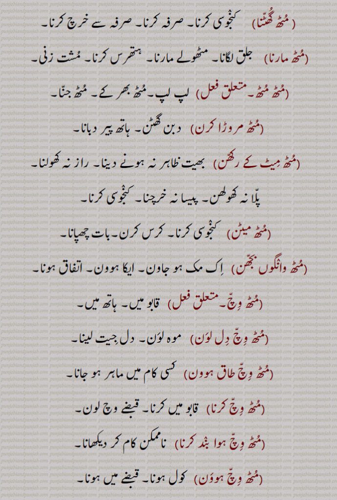 مٹھ گھٹنا,     کنجوسی کرنا۔ صرفہ کرنا۔ صرفہ سے خرچ کرنا,مٹھ مارنا,    جلق لگانا۔ مٹھولے مارنا۔ ہتھرس کرنا۔ مشت زنی,,مٹھ مٹھ۔,  لپ لپ۔مٹھ بھر کے۔ مٹھ جنا,مٹھ مروڑا کرن,   دبن گھٹن۔ ہاتھ پیر دبانا,مٹھ میٹ کے رکھن,   بھیت ظاہر نہ ہونے دینا۔ راز نہ کھولنا,پلا نہ کھولھن۔ پیسا نہ خرچنا۔ کنجوسی کرنا,مٹھ میٹن,   کنجوسی کرنا۔ کرس کرن۔بات چھپانا,مٹھ وانگوں بجھن,   اک مک ہو جاون۔ ایکا ہوون۔ اتفاق ہونا,مٹھ وچ۔,   قابو میں۔ ہاتھ میں,مٹھ وچ دل لون,   موہ لون۔ دل جیت لینا,مٹھ وچ طاق ہوون,   کسی کام میں ماہر ہو جانا,مٹھ وچ کرنا,   قابو میں کرنا۔ قبضے وچ لون,مٹھ وچ ہوا بند کرنا,   ناممکن کام کر دیکھانا,مٹھ وچ ہوون,   کول ہونا۔ قبضے میں ہونا,
