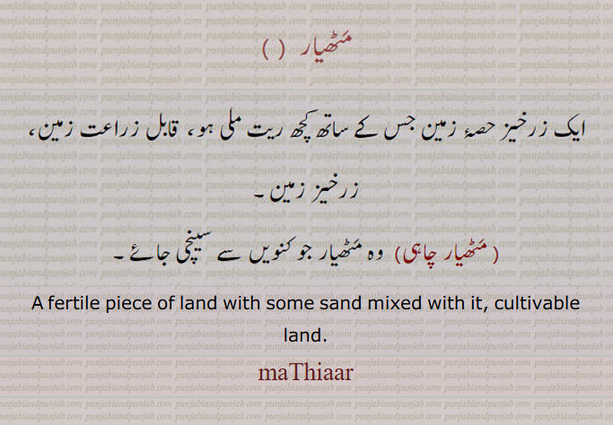 mathiaar, mathiar, A fertile piece of land with some sand mixed with it, cultivable land. مٹھیار۔ زرخیز زمین جس میں ریت ملی ہو۔ قابل زراعت زمین۔ مٹھیار چاہی۔ کنوئیں سے سینچی جائے وہ مٹھیار زمین۔
