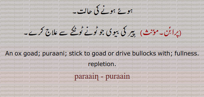  ਪਰਾਇਣ, parain, paraain,An ox goad; Puraani,purani, fullness. repletion. 