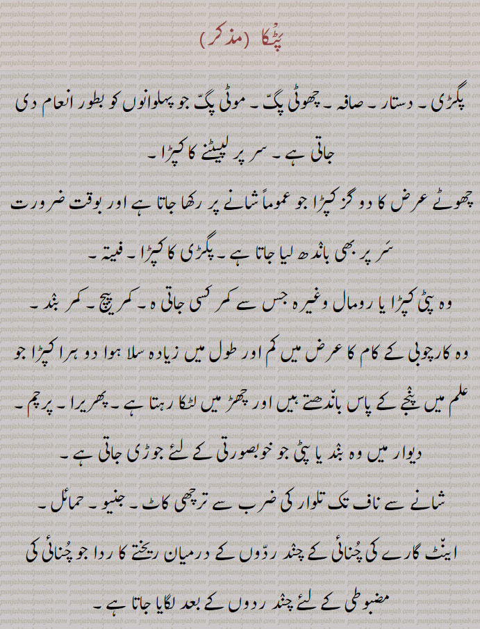 پٹکا ,پگڑی۔ دستار۔ صافہ۔ چھوٹی پگ۔ موٹی پگ جو پہلوانوں کو بطور انعام دی جاتی ہے۔ سر پر لپیٹنے کا کپڑا,چھوٹے عرض کا دو گز کپڑا جو عموماً شانے پر رکھا جاتا ہے اور بوقت ضرورت سر پر بھی باندھ لیا جاتا ہے۔ پگڑی کا کپڑا۔ فیتہ۔
وہ پٹی کپڑا یا رومال وغیرہ جس سے کمر کسی جاتی ہ۔ کمر پیچ۔ کمر بند۔
وہ کارچوبی کے کام کا عرض میں کم اور طول میں زیادہ سلا ہوا دو ہرا کپڑا جو علم میں  پنجے کے پاس باندھتے ہیں اور چھڑ میں لٹکا رہتا ہے۔ پھریرا۔ پرچم۔
دیوار میں وہ بند یا پٹی جو خوبصورتی کے لئے جوڑی جاتی ہے,شانے سے ناف تک تلوار کی ضرب سے ترچھی کاٹ۔ جنیو۔ حمائل,اینٹ گارے کی چنائی کے چند ردوں کے درمیان ریختے کا ردا جو چنائی کی مضبوطی کے لئے چند ردوں کے بعد لگایا جاتا ہے