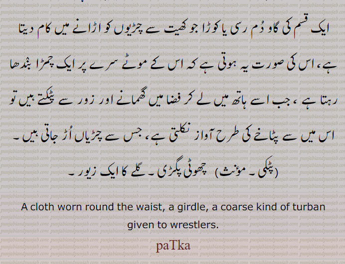 ,ایک قسم کی گاو دم رسی یا کوڑا جو کھیت سے چڑیوں کو اڑانے میں کام دیتا ہے، اس کی صورت یہ ہوتی ہے کہ اس کے موٹے سرے پر ایک چمڑا بندھا رہتا ہے ، جب اسے ہاتھ میں لے کر فضا میں گھمانے اور زور سے پٹکتے ہیں تو اس میں سے پٹاخے کی طرح آواز نکلتی ہے، جس سے چڑیاں اڑ جاتی ہیں,پٹکی, چھوٹی پگڑی۔ گلے کا ایک زیور۔
A cloth worn round the waist, a girdle, a coarse kind of turban given to wrestlers., paTka, pataka. ਪਟਕਾ
