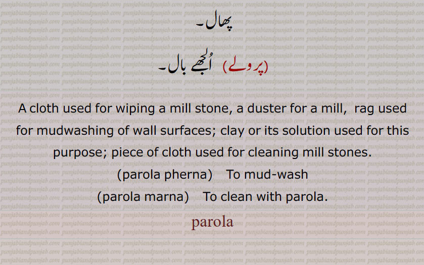 A cloth used for wiping a mill stone, a duster for a mill,  rag used for mudwashing of wall surfaces; clay or its solution used for this purpose; piece of cloth used for cleaning mill stones., parola pherna,  To mud-wash, parola marna,  To clean with parola.,
parola, parola pherna, ਪਰੋਲ਼ਾ ਫੇਰਨਾ, parola marna, ਪਰੋਲ਼ਾ ਮਾਰਨਾ, ਪਰੋਲਾ, ਪਰੋਲ਼ਾ,