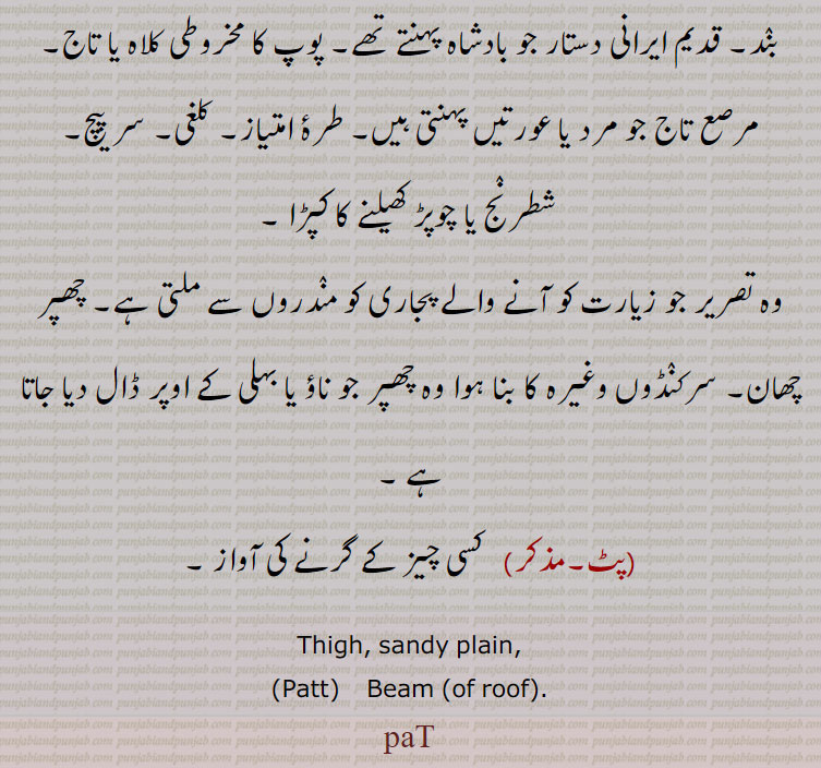  شطرنج یا چوپڑ کھیلنے کا کپڑا ,وہ تصریر جو زیارت کو آنے والے پجاری کو مندروں سے ملتی ہے۔ چھپر چھان۔ سرکنڈوں وغیرہ کا بنا ہوا وہ چھپر جو ناؤ یا بہلی کے اوپر ڈال دیا جاتا ہے ,  کسی چیز کے گرنے کی آواز ۔
Thigh, sandy plain,, Patt,  Beam of roof, paT, pat. ਪਟ 