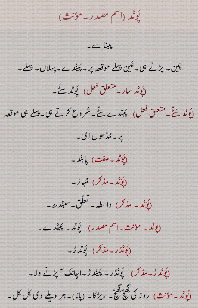 پوند,پینا سے,
پین۔ پڑتے ہی۔عین پہلے موقعہ پر۔پیندے۔پہلاں۔ پہلے,پوند سار, پوند سٹے,پوند سٹے, پیندے سٹے۔شروع کرتے ہی۔پہلے ہی موقعہ پر۔مڈھوں ای,پوند,  پابند,پوند,  مہاڑ,پوند,واسطہ۔ تعلق۔سبندھ,پوند,   پوند۔ پیندے۔,پوندر,  پوندڑ,پوندڑ, پوندر۔ پیندڑ۔اچانک آ پڑنے ولا,پوند,روز کی گھچ گھچ۔ ریڑکا,پانا,۔ہر ویلے دی کل کل۔تکرار,پوندپانا,   ہادھ پٹنا,پوند کھانا, کسی ختم ہوئی بات کا گھڑی مڑی ذکر کرنا,پوندل, پوند ڈالنے والا۔ ریڑکا ڈالنے والا,پوندی,کھوچری۔ گھنتری۔ گھنتریں نکالنے والا,پوندی پنا,ٹوکا ٹاکی,پوندڽا۔پوندنا, امبلو۔ سما۔ کوآمل۔ ایک چھوٹا درخت سرخ پھل والا۔