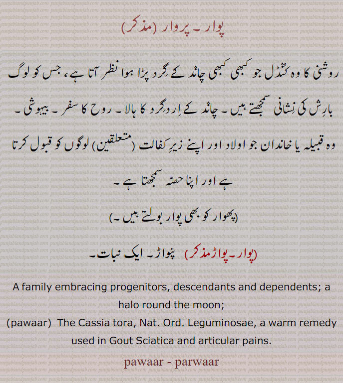  پوار, پروار, روشنی کا وہ کُنٛڈل جو کبھی کبھی چانٛد کے گِرد پڑا ہوا نظر آتا ہے، جس کو لوگ بارِش کی نِشانی سمجھتے ہیں۔ چانٛد کے اِردگِرد کا ہالا۔ روح کا سفر۔ بیہوشی, وہ قبیلہ یا خاندان جو اولاد اور اپنے زیرِ کفالت (متعلقین) لوگوں کو قبول کرتا ہے اور اپنا حصّہ سمجھتا ہے, 
,پھوار کو بھی پوار بولتے ہیں۔,
A family embracing progenitors, descendants and dependents; a halo round the moon; pawaar,  The Cassia tora, Nat. Ord. Leguminosae, a warm remedy used in Gout Sciatica and articular pains, pawaar, parwaar, pawar, ਪਵਾਰ, ਪਵਾਰ,ਪਰਵਾਰ, pwaar