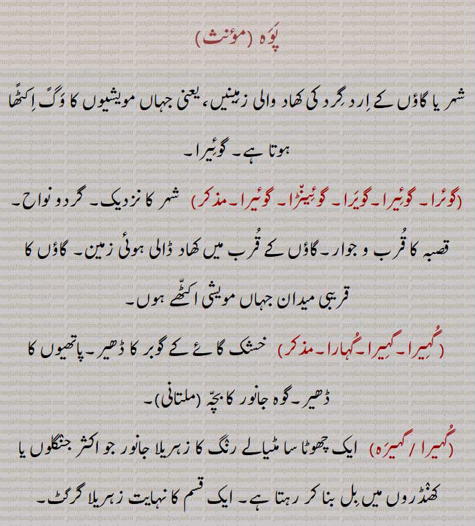 پوہ ,شہر یا گاؤں کے ارد گرد کی کھاد والی زمینیں، یعنی جہاں مویشیوں کا وگً اکٹًھا ہوتا ہے۔ گوئیرا,گوئرا۔ گوئیرا۔گویرا۔ گوئینڑا۔ گوئیرا,  شہر کا نزدیک۔ گردو نواح۔ قصبہ کا قرب و جوار۔گاؤں کے قرب میں کھاد ڈالی ہوئی زمین,گاؤں کا قریبی میدان جہاں مویشی اکٹھے ہوں, گہیرا۔گہیرا۔گہارا, خشک گائے کے گوبر کا ڈھیر۔پاتھیوں کا ڈھیر۔گوہ جانور کا بچہ,گہیرا , گہیرہ,   ایک چھوٹا سا مٹیالے رنگ کا زہریلا جانور جو اکثر جنگلوں یا کھنڈروں میں بل بنا کر رہتا ہے۔ ایک قسم کا نہایت زہریلا گرگٹ۔