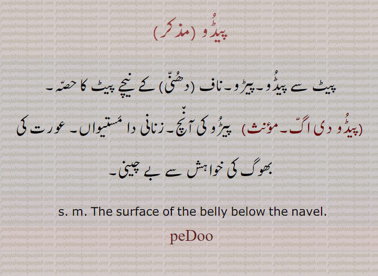 ਪੇਡੂ , پیڈو دی اگ,پیڈو  
پیٹ سے پیڈو۔پیڑو۔ناف (دھنی) کے  نیچے پیٹ کا حصہ,پیڈو دی اگ,پیڑو کی آنچ۔زنانی دا مستیواں۔ عورت کی بھوگ کی خواہش سے بے چینی۔
    The surface of the belly below the navel.  peDoo, pedu