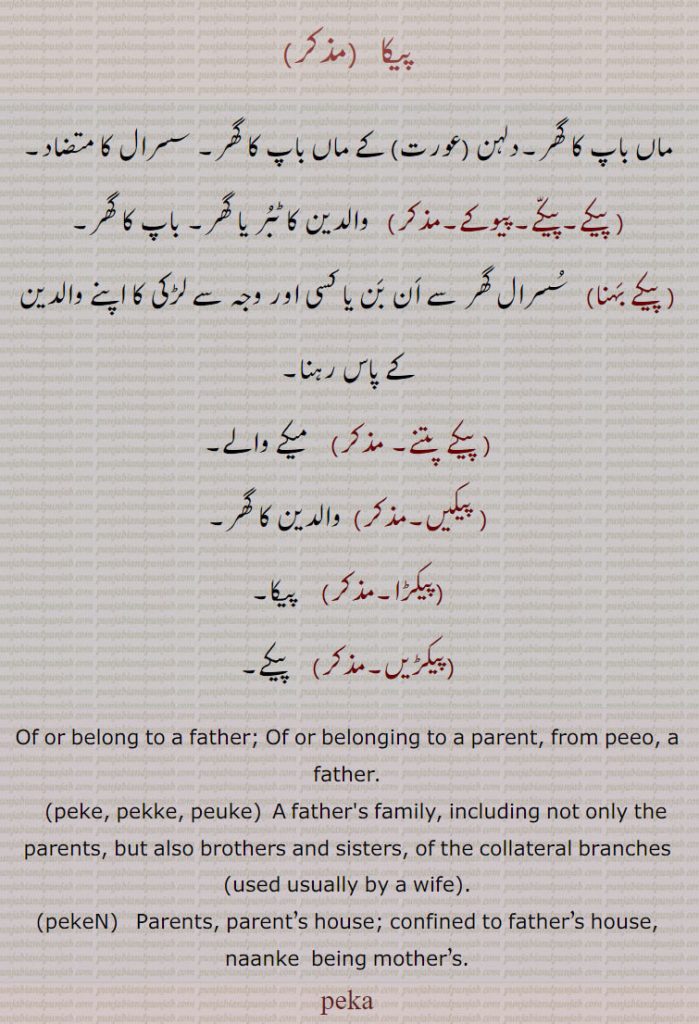 پیکا  ,ماں باپ کا گھر۔دلہن (عورت) کے ماں باپ کا گھر۔ سسرال کا متضاد, پیکے۔پیکے۔پیوکے, والدین کا ٹبر یا گھر۔ باپ کا گھر۔
( پیکے بہنا)   سسرال گھر سے ان بن یا کسی اور وجہ سے لڑکی کا اپنے والدین کے پاس رہنا, پیکے  پتنے,   میکے والے, پیکیں, والدین کا گھر,پیکڑا,  پیکا,پیکڑیں,پیکے۔
Of or belong to a father; Of or belonging to a parent, from peeo, a father.,peke, pekke, peuke,  A father's family, including not only the parents, but also brothers and sisters, of the collateral branches (used usually by a wife).,pekeN,   Parents, parent’s house; confined to father’s house, naanke  being mother’s., ਪੇਕਾ, ਪੇੱਕਾ, peke, pekke, peuke, ਪੇਕੇ , ਪੇੱਕੇ , ਪੇੱਕੇ , ਪੇਉਕੇ, 