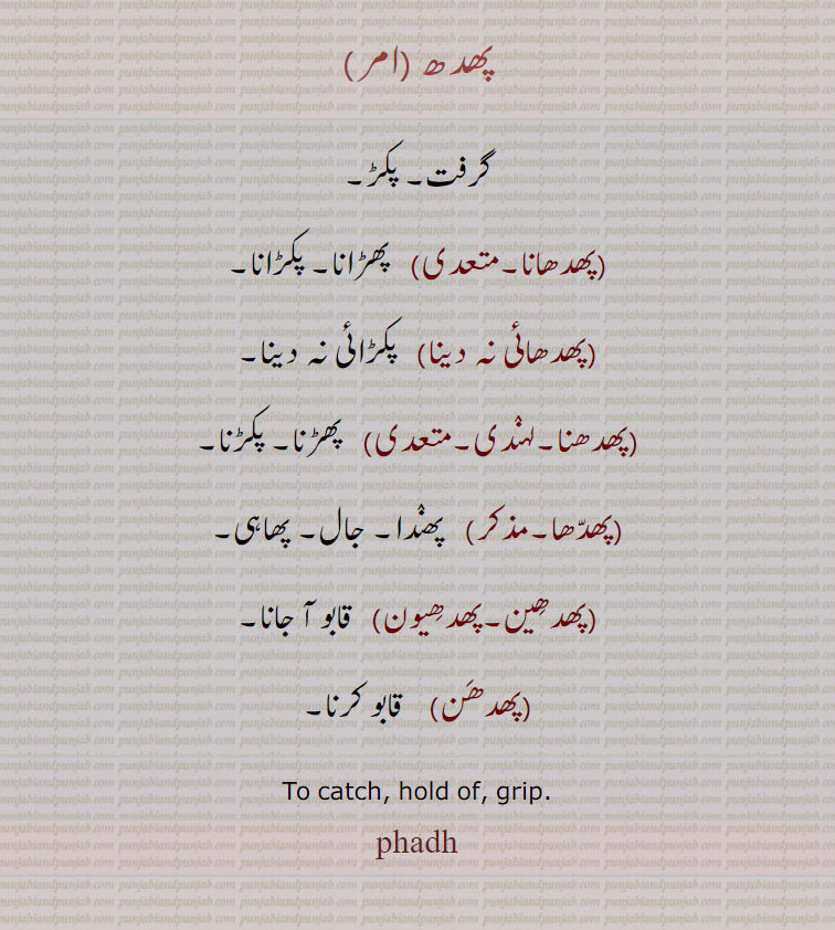 پھدھ ،گرفت۔ پکڑ,پھدھانا, پھڑانا۔ پکڑانا,پھدھائی نہ دینا,  پکڑائی نہ دینا,پھدھنا, پھڑنا۔ پکڑنا,پھدھا, پھندا۔ جال۔ پھاہی,پھدھین۔پھدھیون,   قابو آ جانا,پھدھن,   قابو کرنا,To catch, hold of, grip.,phadh, ਫਧ