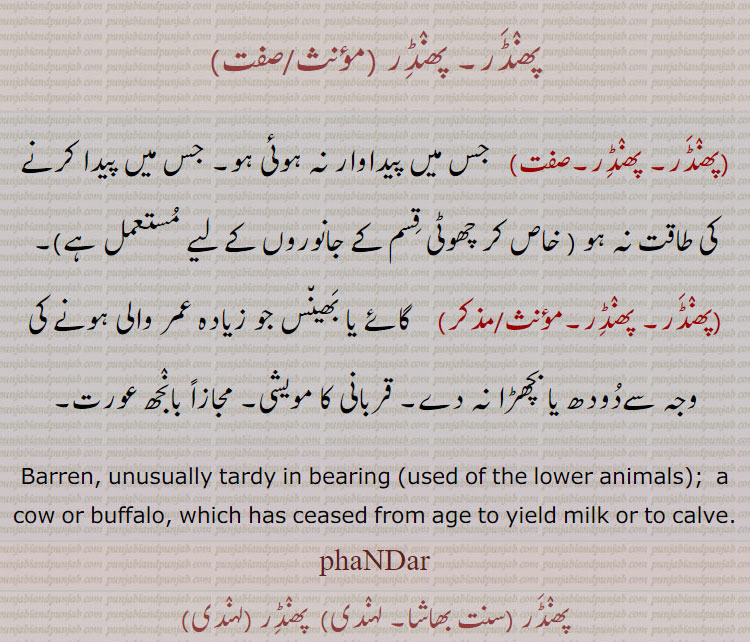 پھنڈر۔ پھنڈر ,  جس میں پیداوار نہ ہوئی ہو۔ جس میں پیدا کرنے کی طاقت نہ ہو ( خاص کر چھوٹی قسم کے جانوروں کے لیے مستعمل ہے),  گائے یا بھینس جو زیادہ عمر والی ہونے کی وجہ سےدودھ یا بچھڑا نہ دے۔ قربانی کا مویشی۔ مجازاً بانجھ عورت۔
Barren, unusually tardy in bearing (used of the lower animals);  a cow or buffalo, which has ceased from age to yield milk or to calve., phaNDar, ਫੰਡਰ, phandar