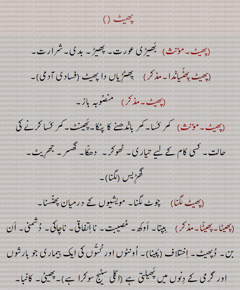    پھیٹ،   بھیڑی عورت۔ پھیڑ۔ بدی۔شرارت،پھیٹ پھٹیاندا,پھٹڑیاں دا پھیٹ  فسادی آدمی,  منصوبہ باز, کمر کسا۔کمر باندھنے کا پٹکا۔پھینٹ۔کمر کسا کرنے کی حالت۔ کسی کام کے لیے تیاری۔ ٹھوکر۔  