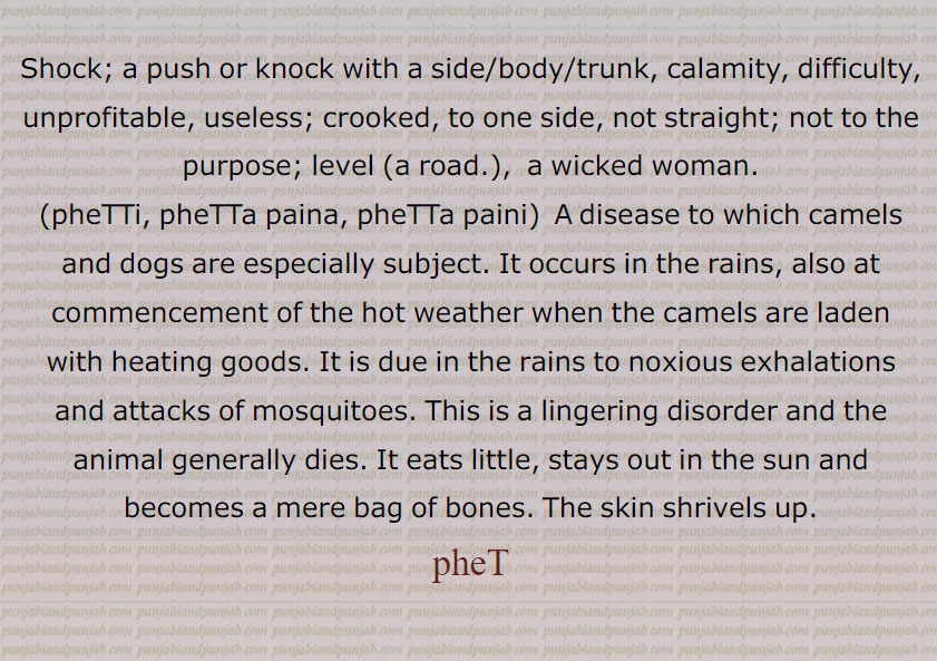 Shock; a push or knock with a side/body/trunk, calamity, difficulty, unprofitable, useless; crooked, to one side, not straight; not to the purpose; level (a road.),  a wicked woman.
,pheTTi, pheTTa paina, pheTTa paini,  A disease to which camels and dogs are especially subject. It occurs in the rains, also at commencement of the hot weather when the camels are laden with heating goods. It is due in the rains to noxious exhalations and attacks of mosquitoes. This is a lingering disorder and the animal generally dies. It eats little, stays out in the sun and becomes a mere bag of bones. The skin shrivels up.
pheT  ਫੇਟ , ਛੇਟ, phetta ਫੇੱਟਾ,phetti, phetta paina, phetta paini
