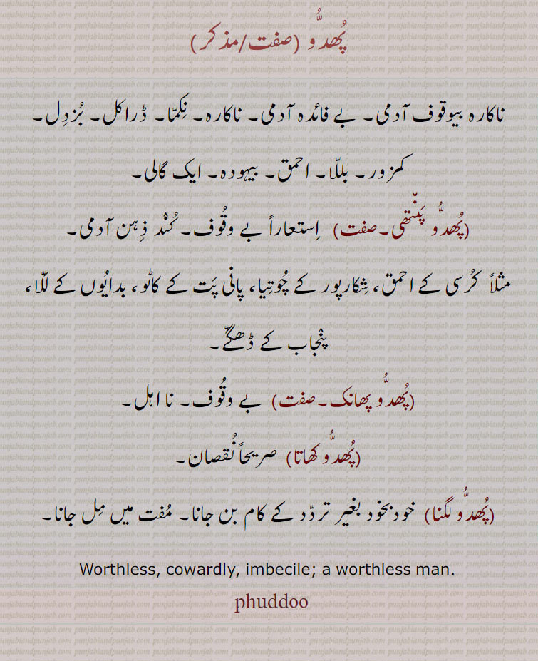 پھدو ,ناکارہ بیوقوف آدمی۔ بے فائدہ آدمی۔ ناکارہ۔ نکما۔ ڈراکل۔ بزدل۔ کمزور۔ بللا۔ احمق۔ بیہودہ۔ ایک گالی,پھدو پنتھی, استعاراً بے وقوف۔ کند ذہن آدمی,مثلاً  کرسی کے احمق، شکارپور کے چوتیا، پانی پت کے کاٹو، بدایوں کے للا، پنجاب کے ڈھگے,پھدو پھانک,بے وقوف۔ نا اہل,پھدو کھاتا, صریحاً نقصان,پھدُو لگنا,  خودبخود بغیر تردد کے کام بن جانا۔ مفت میں مل جانا۔
Worthless, cowardly, imbecile; a worthless man.,phuddu, ਫੁੱਦੂ, phuddoo
