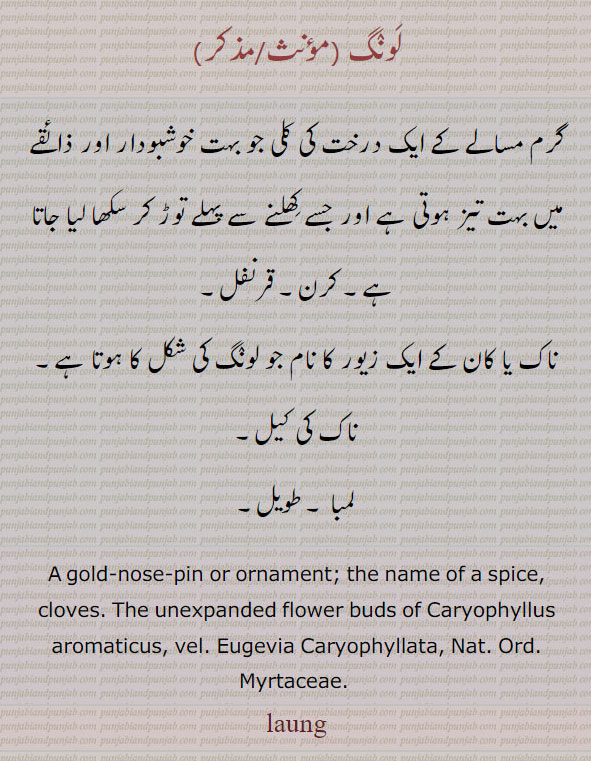 لونگ ,گرم مسالے کے ایک درخت کی کلی جو بہت خوشبودار اور ذائقے میں بہت تیز ہوتی ہے اور جسے کھلنے سے پہلے توڑ کر سکھا لیا جاتا ہے۔ کرن۔ قرنفل۔
ناک یا کان کے ایک زیور کا نام جو لونگ کی شکل کا ہوتا ہے۔ ناک کی کیل۔
لمبا ۔ طویل۔
A gold-nose-pin or ornament; the name of a spice, cloves. The unexpanded flower buds of Caryophyllus aromaticus, vel. Eugevia Caryophyllata, Nat. Ord. Myrtaceae. , laung, پھلی,Phuli, ਫੂਲੀ ,کوکا,لونگ ,laung, ਲੌਂਗ,koka,ਕੋਕਾ,
