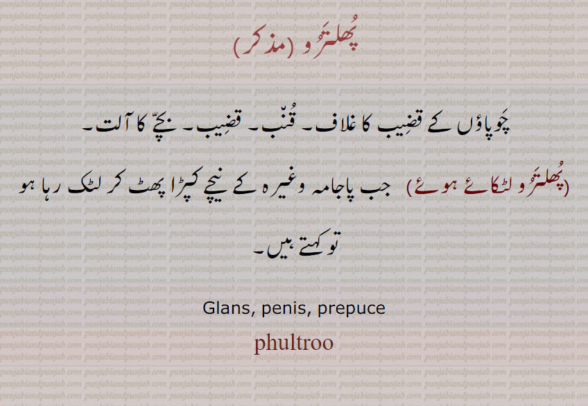 پھلترو، چوپاؤں کے قضیب کا غلاف۔ قنب۔ قضیب۔ بچے کا آلت۔
(پھلترو لٹکائے ہوئے)   جب پاجامہ وغیرہ کے  نیچے کپڑا پھٹ کر لٹک رہا ہو تو کہتے ہیں۔
Glans, penis, prepuce، phultroo, ,ਫੂਲਤਰੁ,phultru