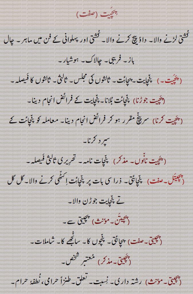 پچیت ,کشتی لڑنے والا۔ داؤ پیچ کرنے والا۔ کشتی اور پہلوانی کے فن میں ماہر۔ چال باز۔ فریبی۔ چالاک۔ ہوشیار,  پنچایت۔پچائت۔ ثالثوں کی مجلس۔ ثالثی۔ ثالثوں کا فیصلہ,پچیت جوڑنا, پنچائت بلانا۔پنچایت کے فرائض انجام دینا,پچیت کرنا,سرپنچ مقرر ہو کر فرائض انجام دینا۔ معاملہ کو پنچائت کے سپرد کرنا, پچیت نانوں,  پنچات نامہ۔ تحریری ثالثی فیصلہ,پچیتل, پنچائتی۔ ذرا سی بات پر پنچائت اکٹھی کرنے والا۔گل گل تے پنچایت جوڑن والا,پچیتن, پچیتی سے,پچیتی,پچائتی۔ پنچوں کا۔ سانجھے کا۔ شاملات,پچیتی, معتبر شخص,پچیتی, رشتہ داری۔ نسبت,تعلق۔طنزاً حرامی، نطفۂ حرام,
